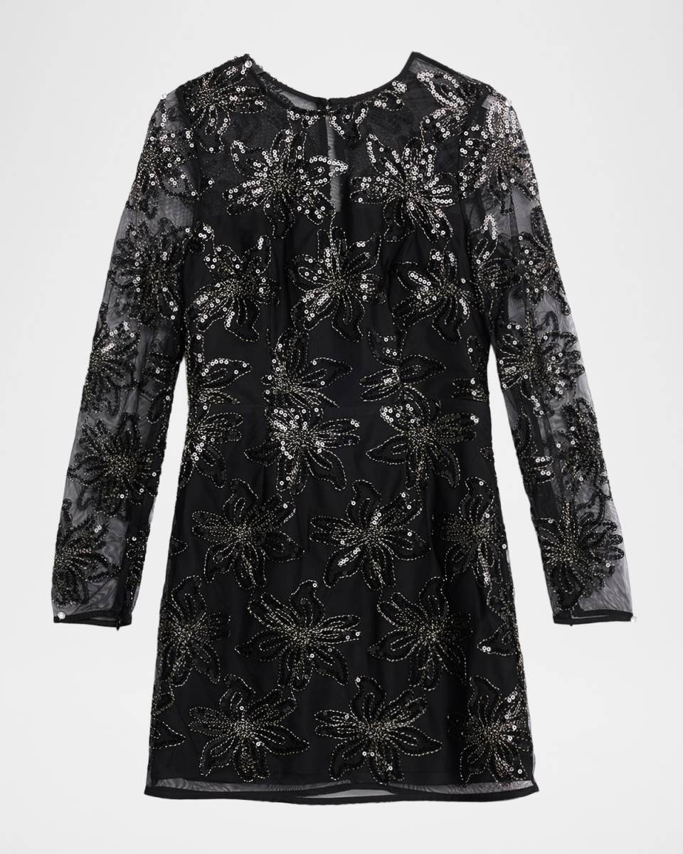 Adele Embroidered Mesh Long-Sleeve Mini Dress